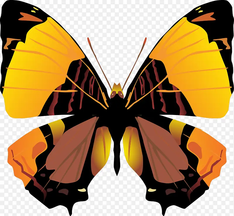 �ֻ����-������