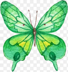 ˮ����ɫ����-������