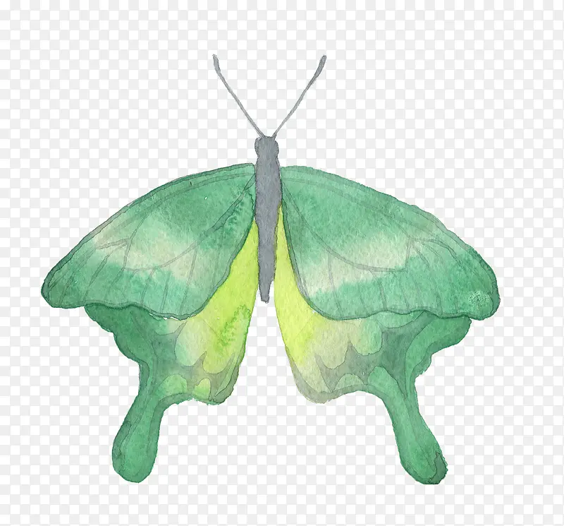 ��ɫ����-������