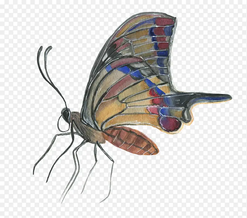 �ֻ�����-������