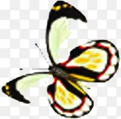 ��Ӱ�ֻ����պ���Ч��-������