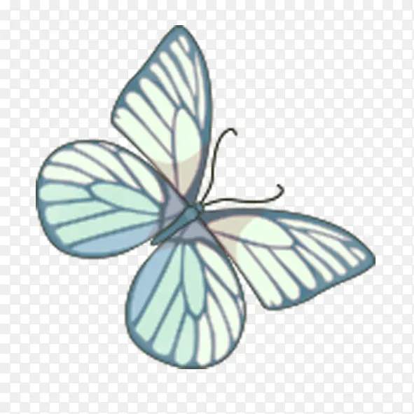 ����-������