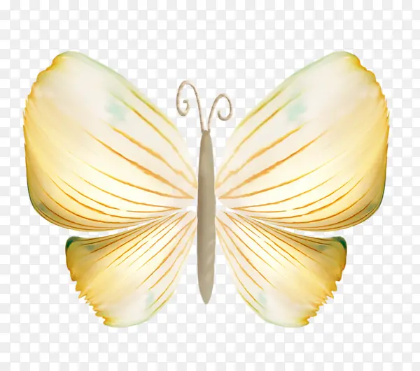 �ֻ����-������