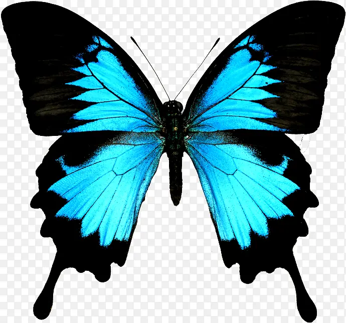 ��ͨ����-������