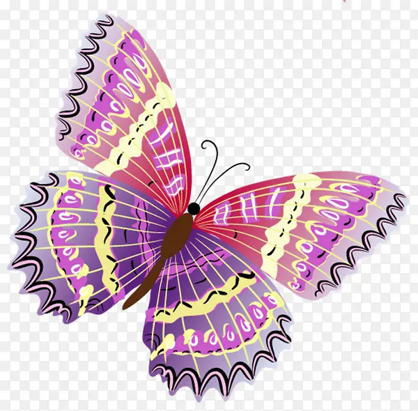 ˮ�ʺ���-������