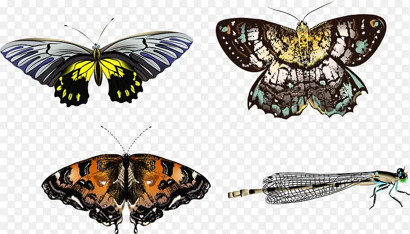 �ֻ����-������