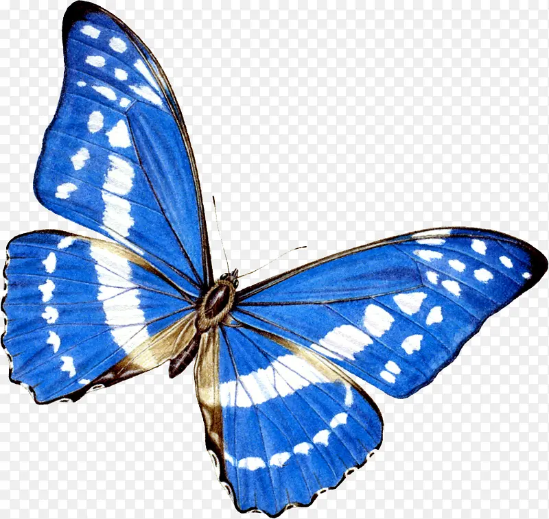 ��ɫ����-������