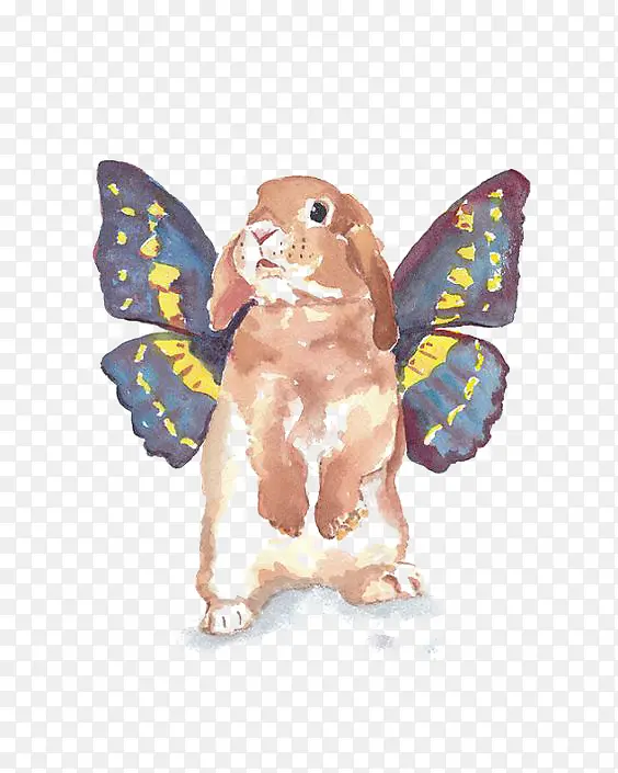 ��ͨ����-������