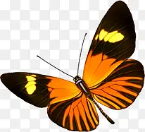 ��ɫ�����ֻ����-������