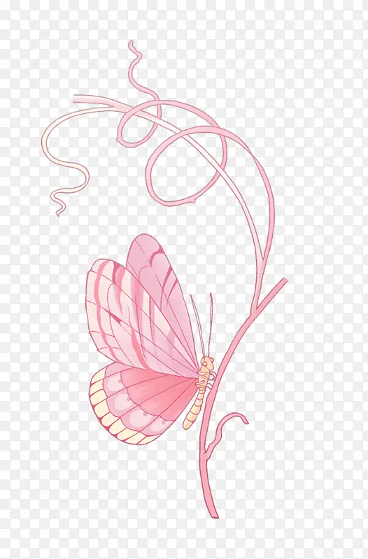 ��ͨ��ɫ����˿��-������