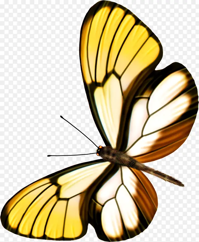 �ֻ��ɫ�����廭-������