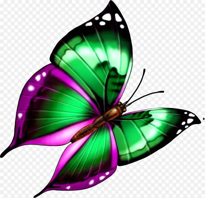 �ֻ���ɫ�����廭-������