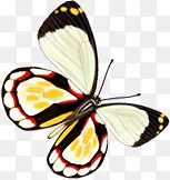 ʱ�д����ֻ����-������