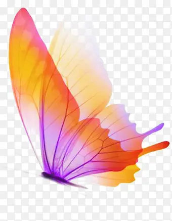 �Ų�ʱ���ֻ洺�����-������