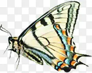 �ɰ��ֻ��������-������