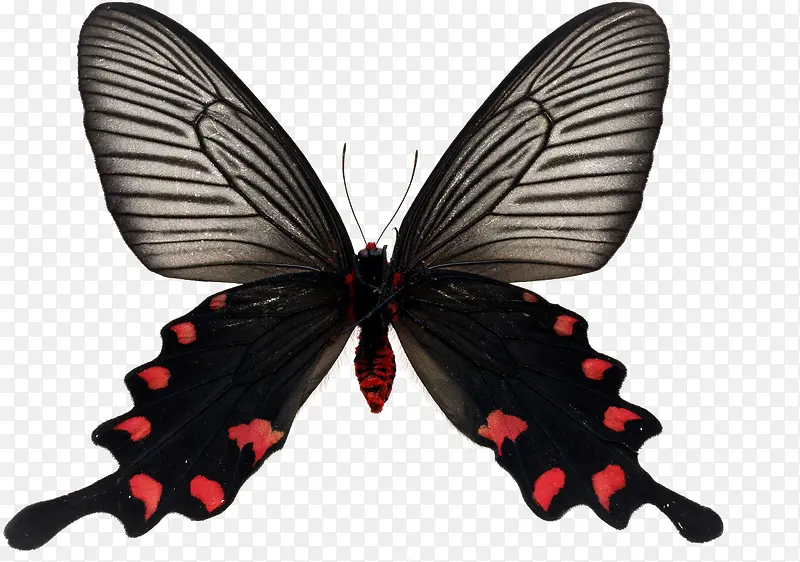 �����ֻ��������-������