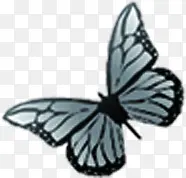 �ֻ�ɰ�Ψ������-������