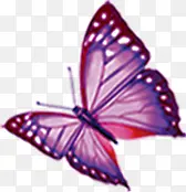 �ֻ���ɫ��������-������