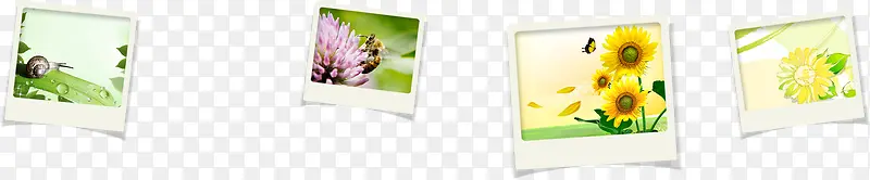 �ɰ�������ᴺ��-������