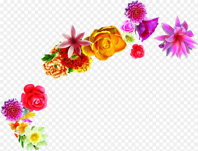 ��ɫ�����������-������