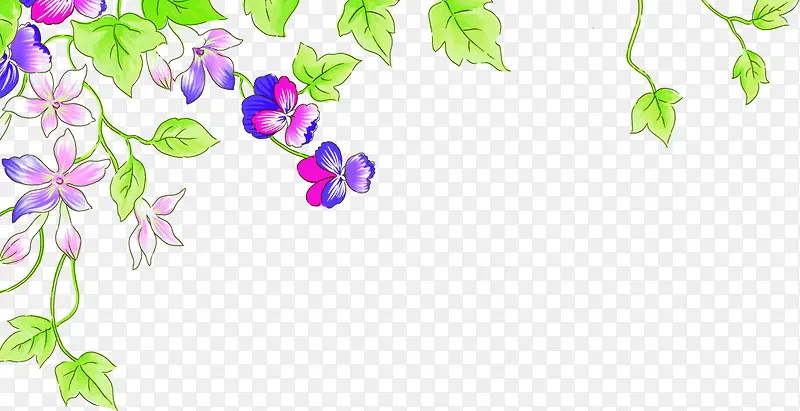 ��ɫʱ�д��컨��-������