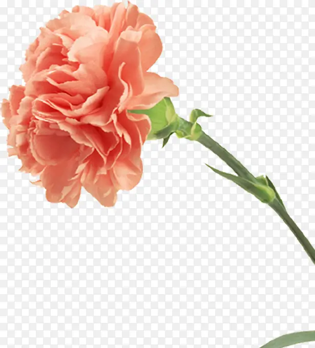 ����ʱ�����»�������-������