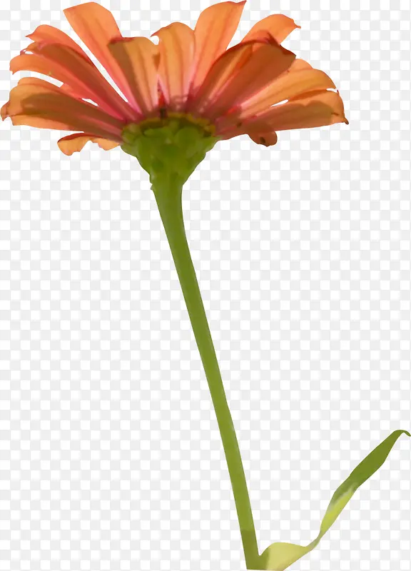 ˮ�ʴ��컨������-������