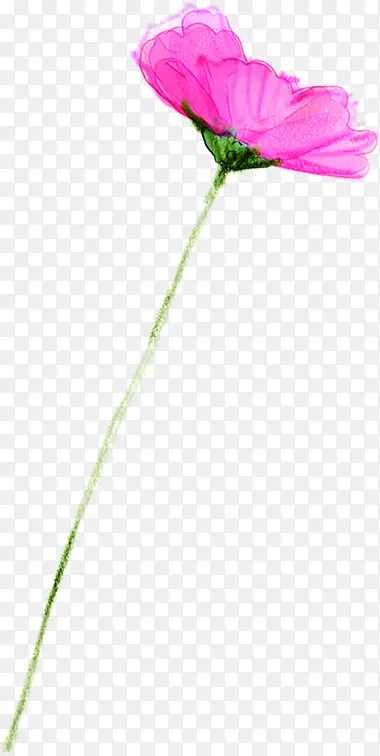 ���쾫��ˮ�ʻ���-������