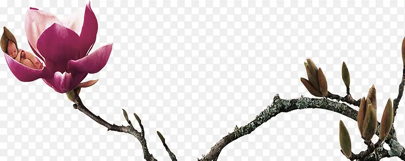 �����ɫ������֦װ��-������