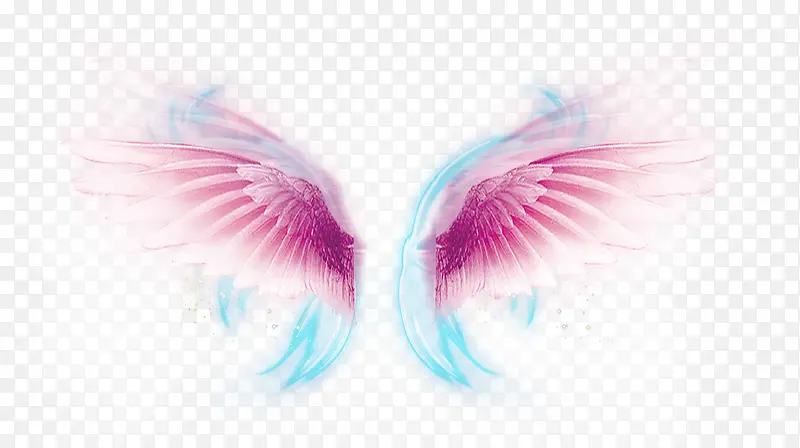 ��ɫ���-������