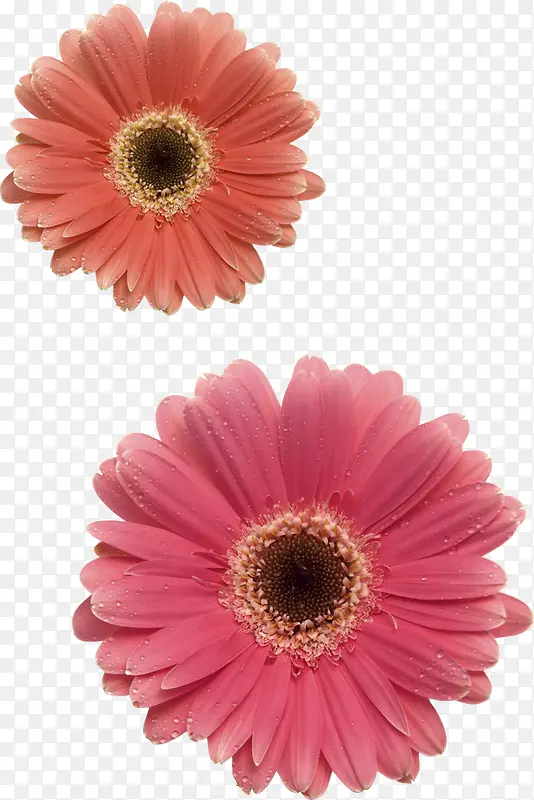 С���ոж��ڴ�������-������