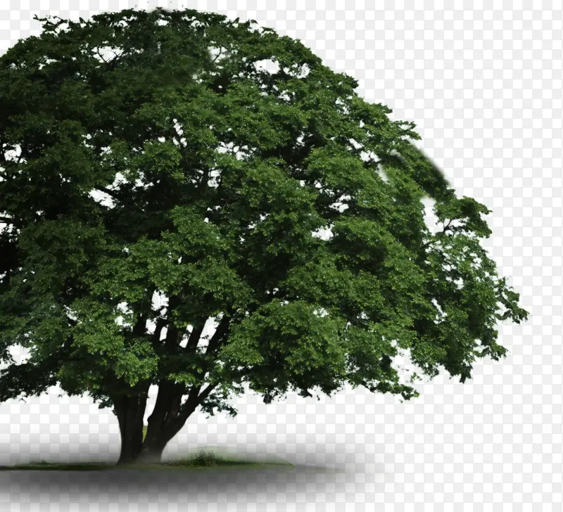 ��-������