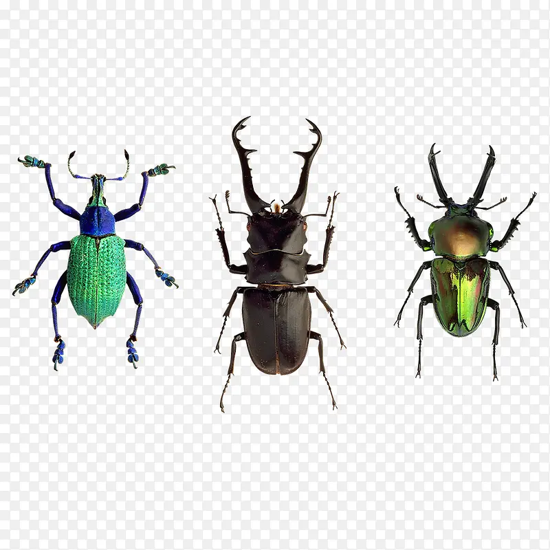 Ұ��������ͼ-������