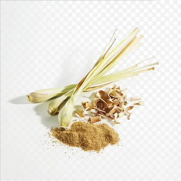 ���ʲ��������-������