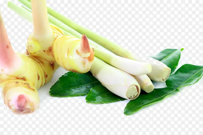 ���ʲ��������-������