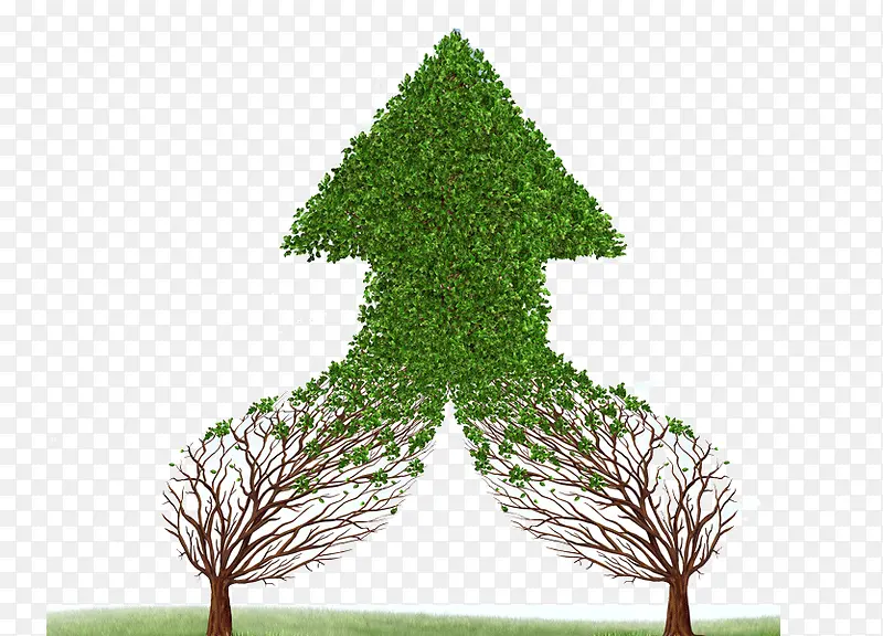 ���⻷����-������