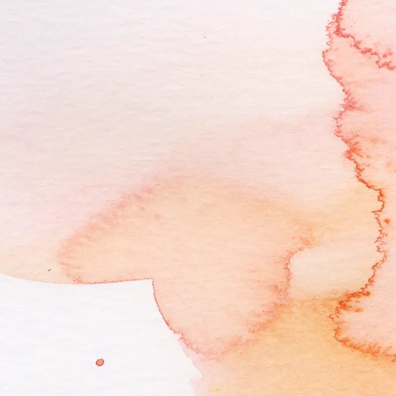 ˮī��ɫˮīװ��-������