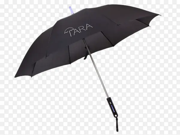 ���� ���� ��ɡ-������