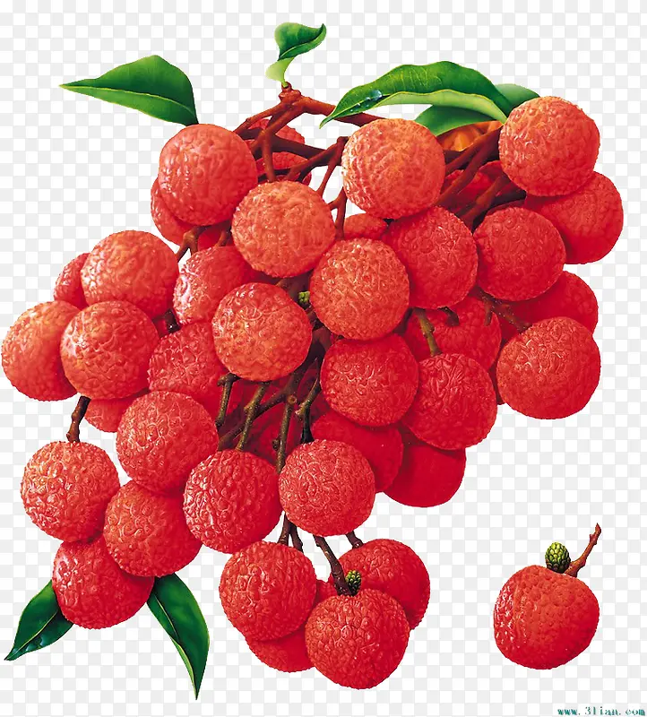 ��������ˮ����֦-������