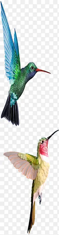 ���տ�ͨ�������Ч��-������