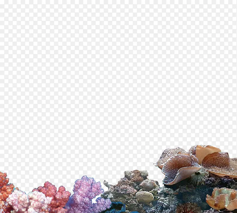 ��ɫɺ��-������