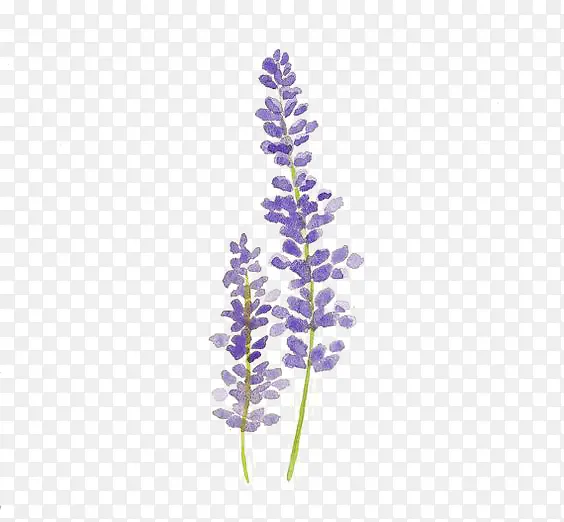 ޹�²�-������