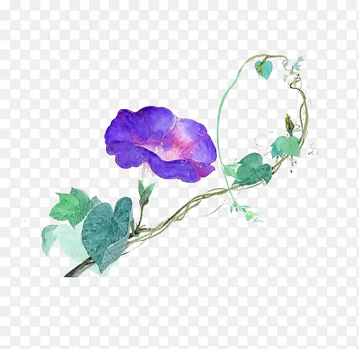 ˮ��ǣţ��-������