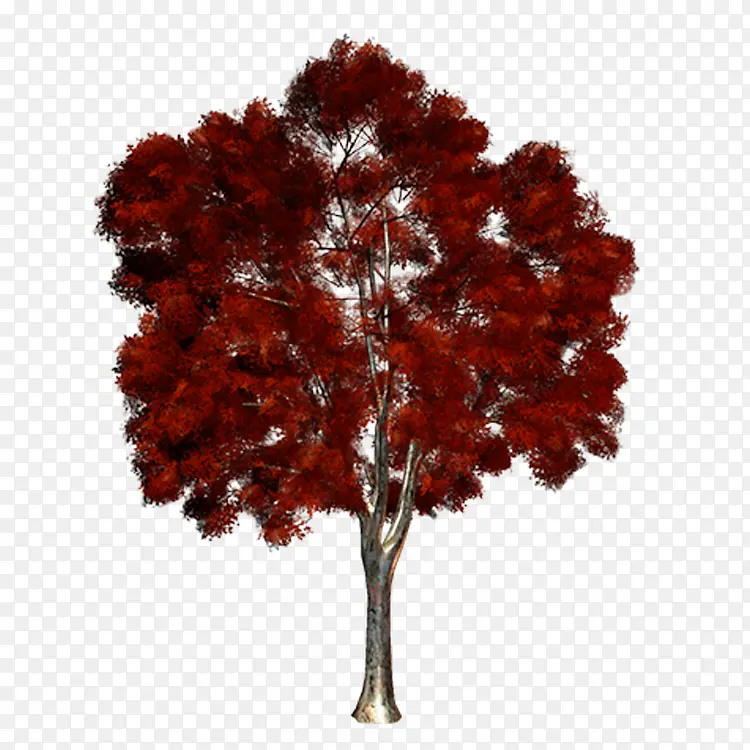 ��ɫ����-������