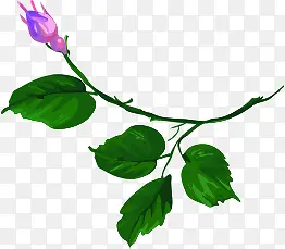 ��ͨ�ֻ���ɫ��-������