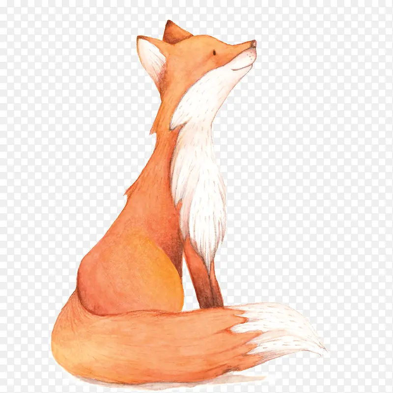 ˮ�ʺ���-������