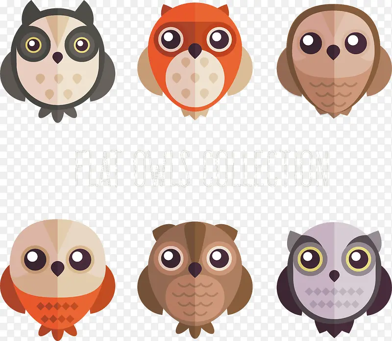 ��ͨСӥ�������-������