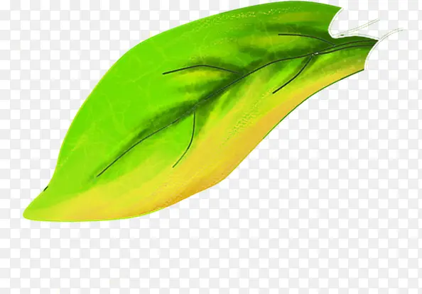 �ֻ����ɫˮ����Ҷ-������