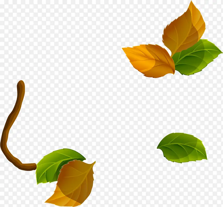 �ֻ�ʥ���ڻ���ɫ��Ҷ-������