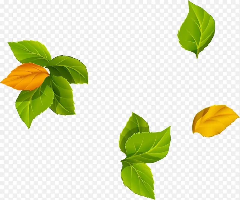 �ֻ����ɫ�ɰ���Ҷ-������